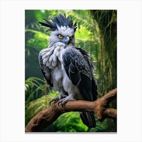 Raptor Reverie: Harpy Eagle Print Canvas Print