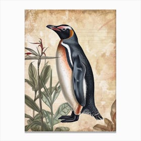 Adlie Penguin Robben Island Vintage Botanical Painting 4 Canvas Print