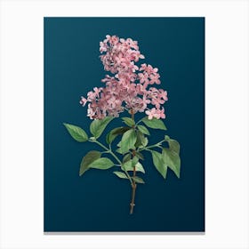 Vintage Chinese Lilac Botanical Art on Teal Blue n.0843 Canvas Print