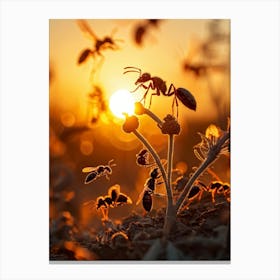 Ant Colony Collaboratively Foraging Under The Glowing Blaze Of A Setting Sun With Elongated Shadows (2) Canvas Print