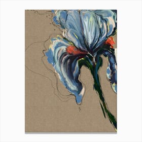 Iris Canvas Print