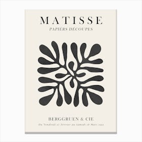 Floral matisse 3 Canvas Print