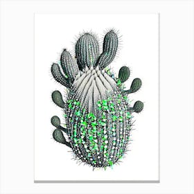 Turk S Head Cactus William Morris Inspired 3 Canvas Print