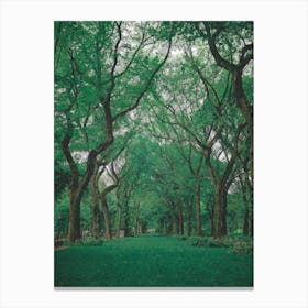 Mysterious Park, Oil Painting Canvas Print