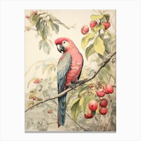 Storybook Animal Watercolour Parrot 2 Canvas Print