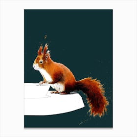 The Red Squirrel On Deep Cyan Canvas Print