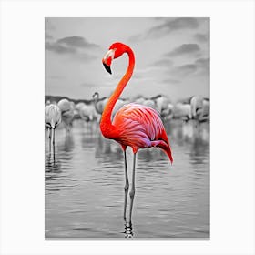 Flamingos 3 Canvas Print