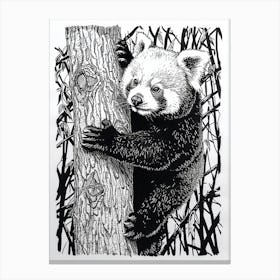 Red Panda Cub Climbing A Tree Ink Illustration 2 Canvas Print