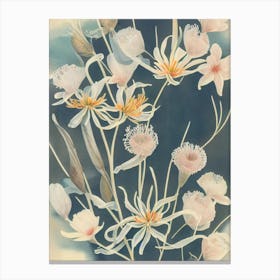 Sea Lily Vintage Graphic Watercolour Canvas Print