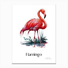 Flamingo. Long, thin legs. Pink or bright red color. Black feathers on the tips of its wings.15 Canvas Print