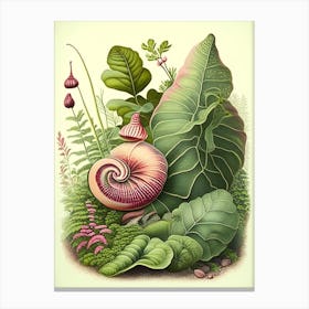 Garden Snail In Park Botanical Canvas Print