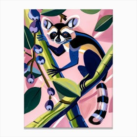 Raccoon 2 Canvas Print