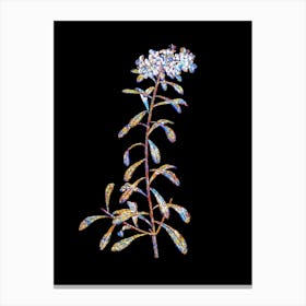 Stained Glass Small White Flowers Mosaic Botanical Illustration on Black n.0130 Canvas Print