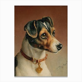 Portrait Of A Jack Russel Terrier, Carl Reichert Canvas Print