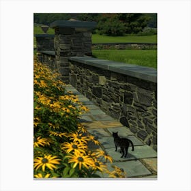 Cat On A Stone Wall Canvas Print