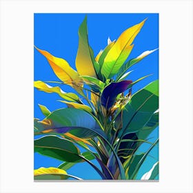 Banana Plant Canvas Print