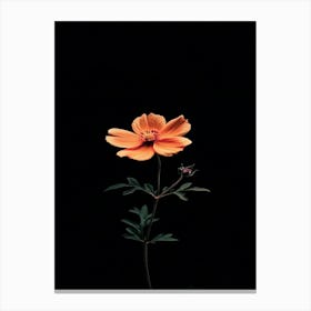 Flower On A Black Background 5 Canvas Print