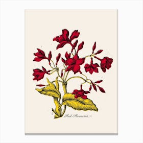 Red Plumeria Canvas Print
