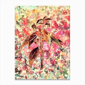 Impressionist Commelina Zanonia Botanical Painting in Blush Pink and Gold Canvas Print