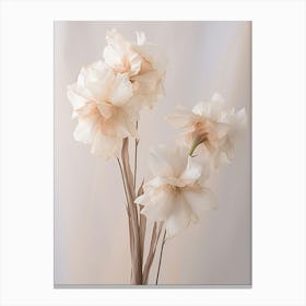 Boho Dried Flowers Gladiolus 2 Canvas Print