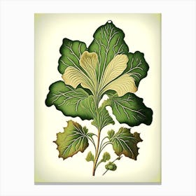 Primrose Leaf Vintage Botanical 1 Canvas Print