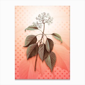 Pagoda Dogwood Vintage Botanical in Peach Fuzz Polka Dot Pattern n.0186 Canvas Print