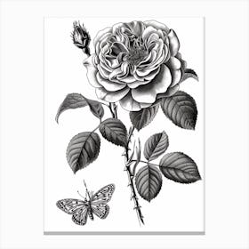 Butterfly Rose Line Drawing 2 Canvas Print