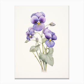 Violets Flower Vintage Botanical 1 Canvas Print