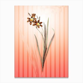 Ixia Tricolor Vintage Botanical in Peach Fuzz Awning Stripes Pattern n.0234 Canvas Print