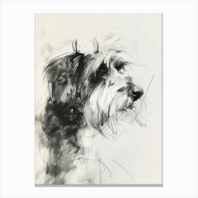  Bearded Collie Dog Charcoal Line 1 Canvas Print