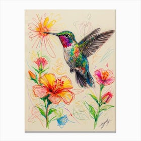 Hummingbird 23 Canvas Print