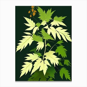 Meadowsweet Leaf Vibrant Inspired 1 Canvas Print