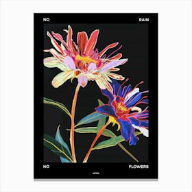 No Rain No Flowers Poster Asters 4 Canvas Print