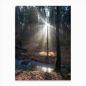 Sunbeams in the winter forest 1 Canvas Print