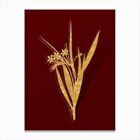 Vintage White Baboon Root Botanical in Gold on Red n.0389 Canvas Print