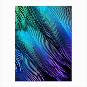 Feathers Canvas Print