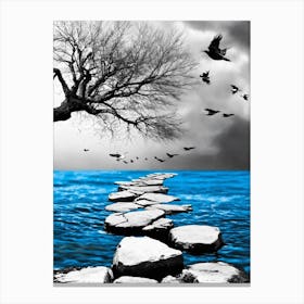 Stepping Stones Canvas Print