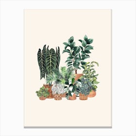 Plant Gang 10 Canvas Print