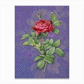 Vintage Red Gallic Rose Botanical Illustration on Veri Peri n.0847 Canvas Print