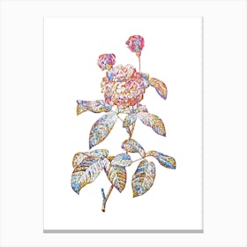Stained Glass Agatha Rose in Bloom Mosaic Botanical Illustration on White n.0022 Canvas Print
