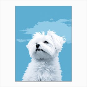 White Maltese Dog Canvas Print