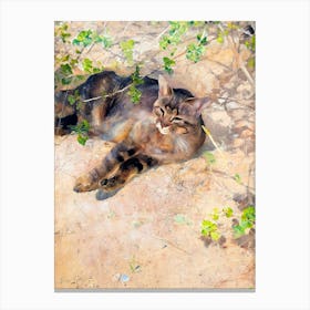 Sleeping Jeppe (Tabby Cat in the Meadow) by Bruno Liljefors 1886 HD Canvas Print