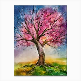 Cherry Blossom Tree 5 Canvas Print