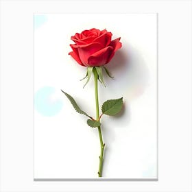 Single Red Rose 5 Toile