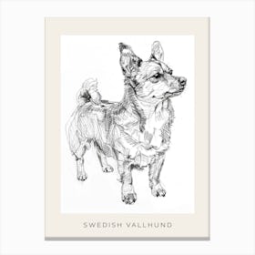 Swedish Vallhund Dog Line Sketch 1 Poster Canvas Print
