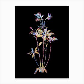 Stained Glass Lily of the Incas Mosaic Botanical Illustration on Black n.0254 Canvas Print