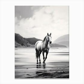 A Horse Oil Painting In Rhossili Bay, Wales Uk, Portrait 4 Canvas Print