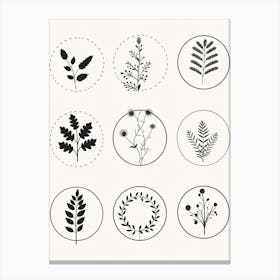 Collection Of Plants In Black And White Line Art 3 Canvas Print