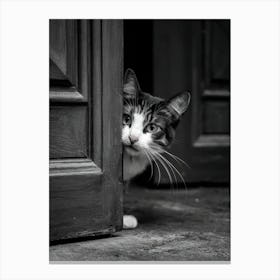 Cat Peeking Out Of The Door Canvas Print