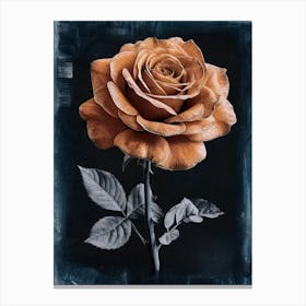 Rose Canvas Print